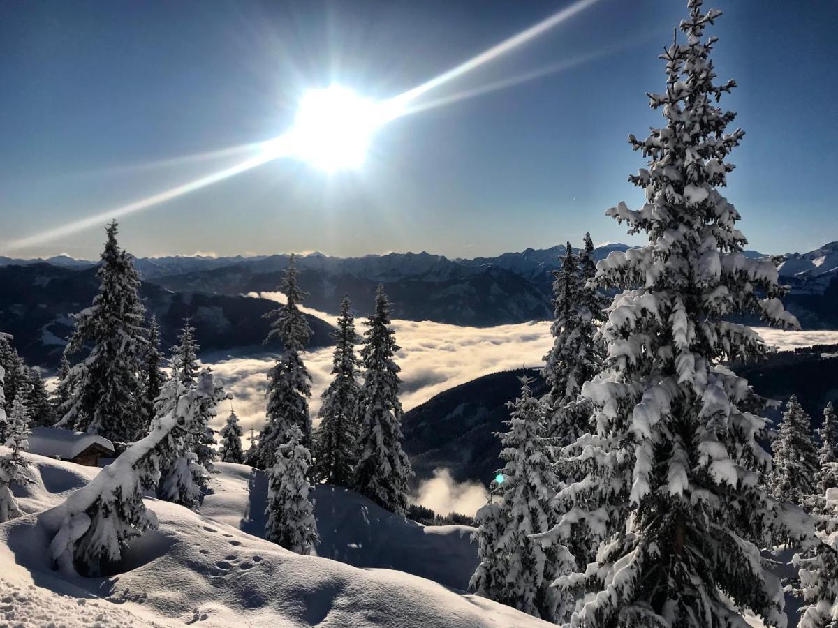 Landhaus Bergner Alm Bruck an der Grossglocknerstrasse Ngoại thất bức ảnh