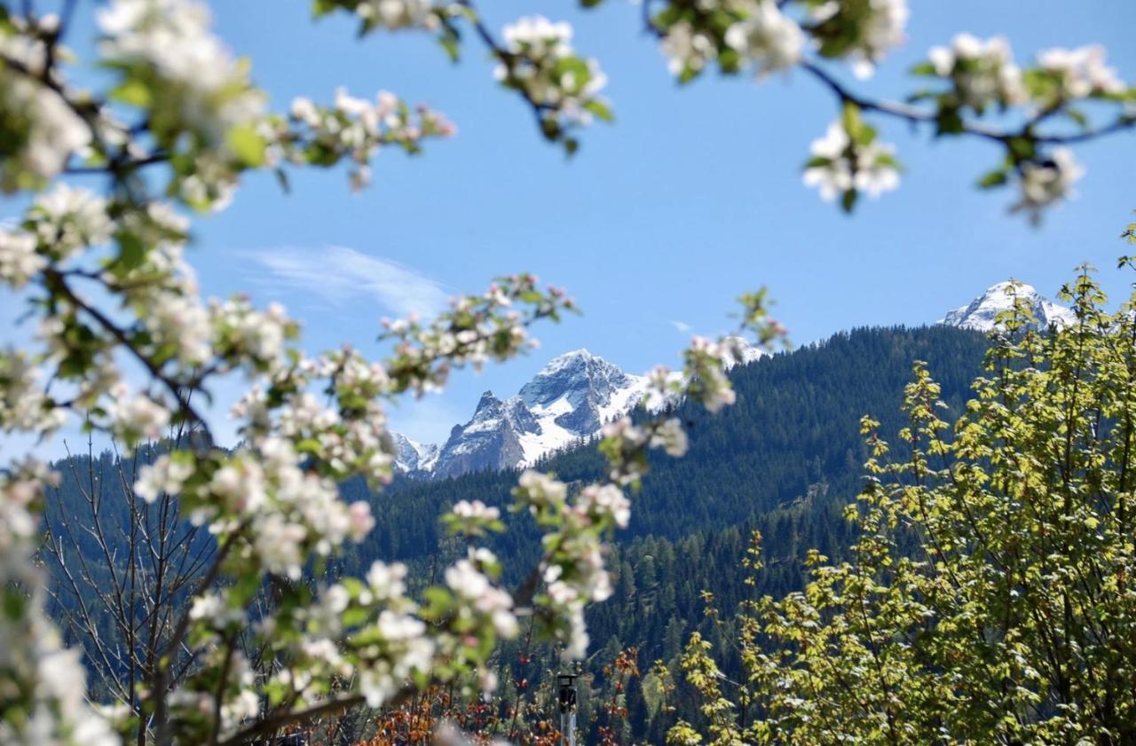 Landhaus Bergner Alm Bruck an der Grossglocknerstrasse Ngoại thất bức ảnh