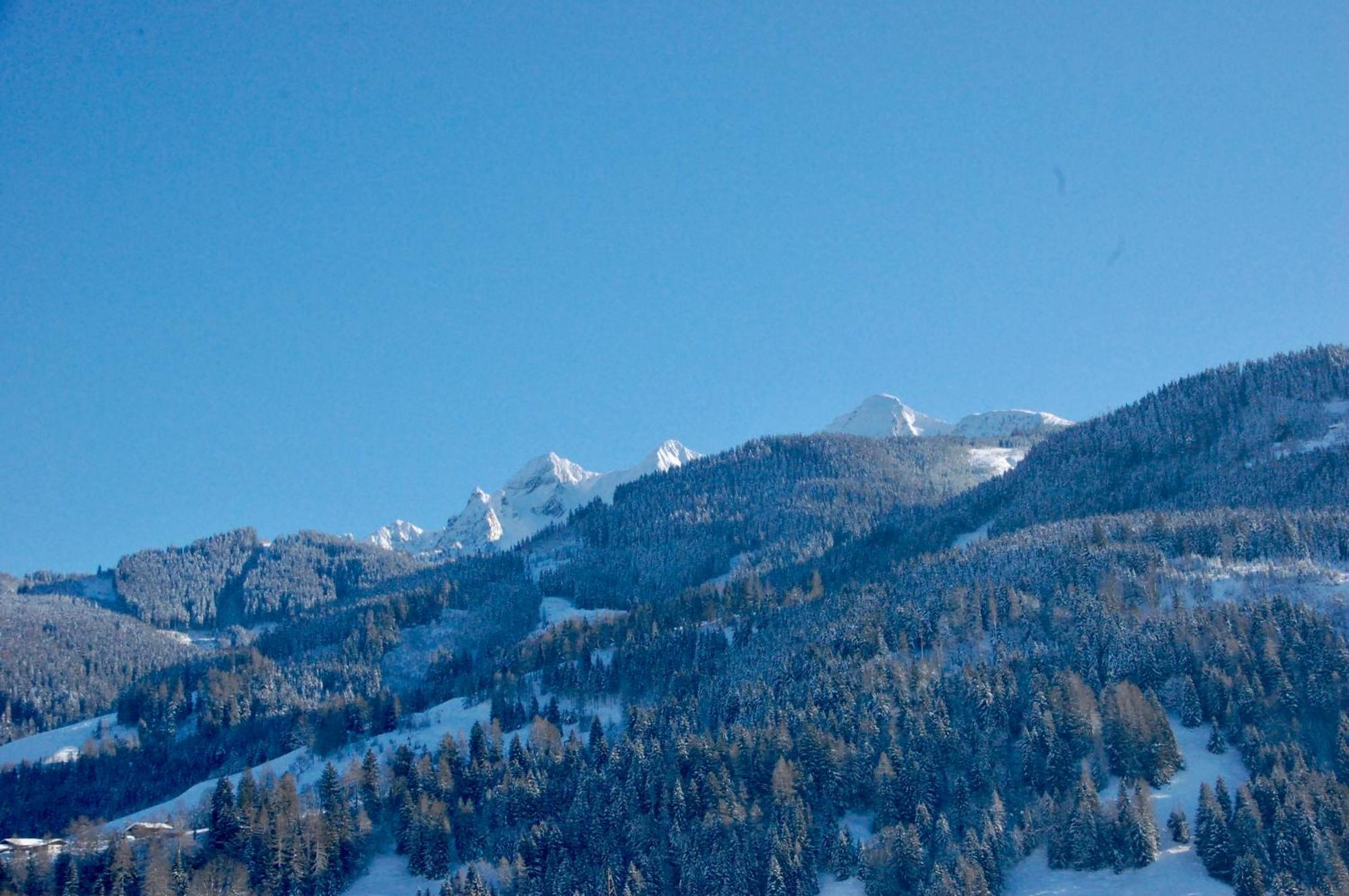 Landhaus Bergner Alm Bruck an der Grossglocknerstrasse Ngoại thất bức ảnh