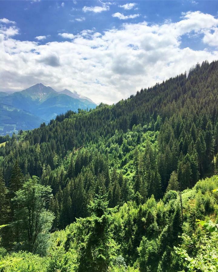 Landhaus Bergner Alm Bruck an der Grossglocknerstrasse Ngoại thất bức ảnh